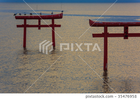 Dawn of the sea torii Saga prefecture Tara-cho Dawn of the sea torii Saga prefecture Tara-cho 35476958