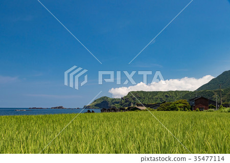 開闊的海岸 35477114