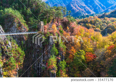 “櫪木縣”瀨戶戈焦,紅葉和吊橋 “櫪木縣”瀨戶戈焦,紅葉和吊橋 35477170