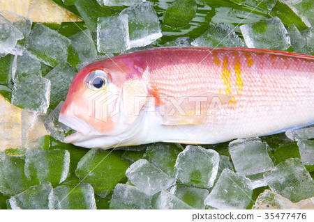 甜杏仁成分 35477476