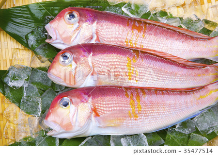 甜杏仁成分 35477514