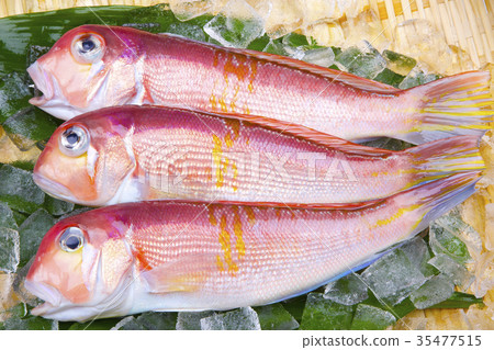 甜杏仁成分 甜杏仁成分 35477515