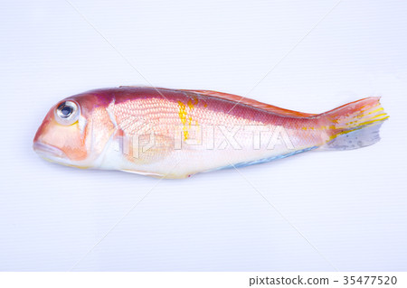 Sweet almond ingredients Sweet almond ingredients 35477520