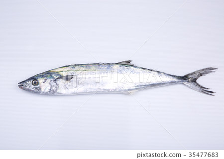 Sawara成分 35477683