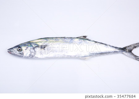 Sawara成分 Sawara成分 35477684