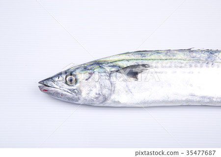 Sawara成分 35477687