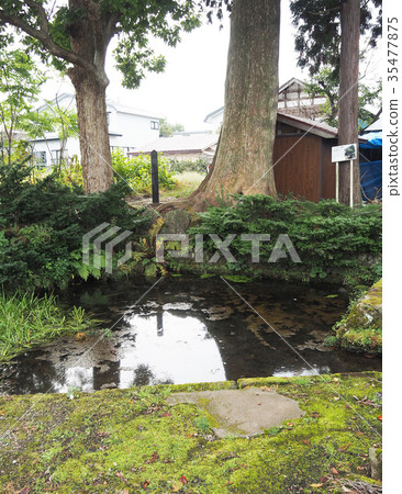 本鄉城Reisen水團Hoshiyama Shimizu 本鄉城Reisen水團Hoshiyama Shimizu 35477875