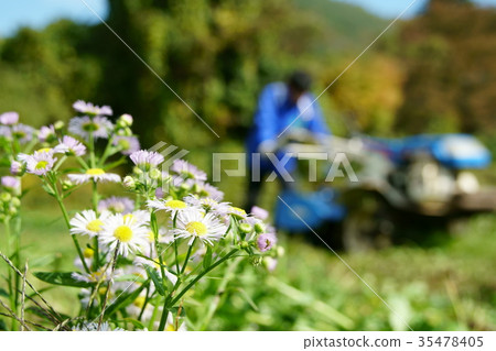 在領域開花的Himejoon 在領域開花的Himejoon 35478405