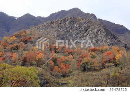 Ashio Copper Mine 35478725
