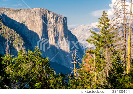 Yosemite National Park Valley summer landscape Yosemite National Park Valley summer landscape 35480464