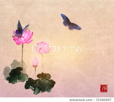 Big butterflies and lotus flowers on vintage Big butterflies and lotus flowers on vintage 35480897