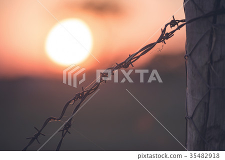 Sunset Behind The Fence Sunset Behind The Fence 35482918