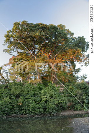 川越城堡富士見山口 35483123