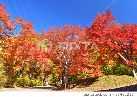 Shiobara Onsen dyed in autumn leaves Shiobara Onsen dyed in autumn leaves 35483256