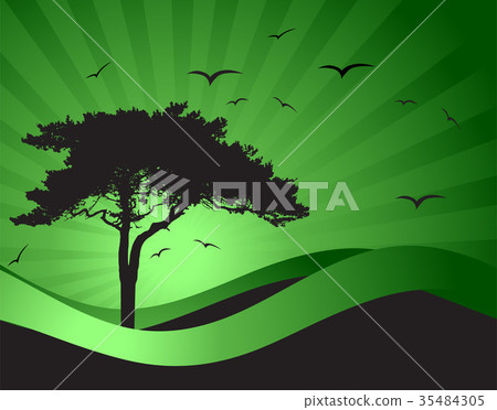 Old tree silhouette, season background Old tree silhouette, season background 35484305