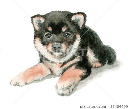 Ebony puppy painted by watercolor 35484499