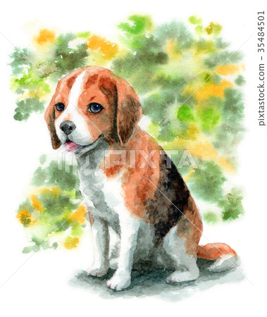 水彩繪的小獵犬小狗 35484501