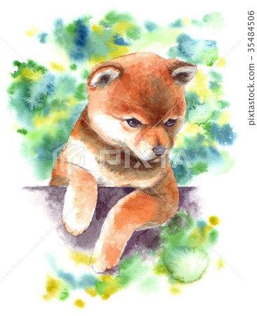 Teacup puppy painted in watercolor 35484506