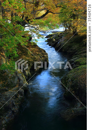 Autumn leaves of Bentenjima Autumn leaves of Bentenjima 35484716