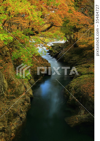 Bentenjima秋葉 35484727