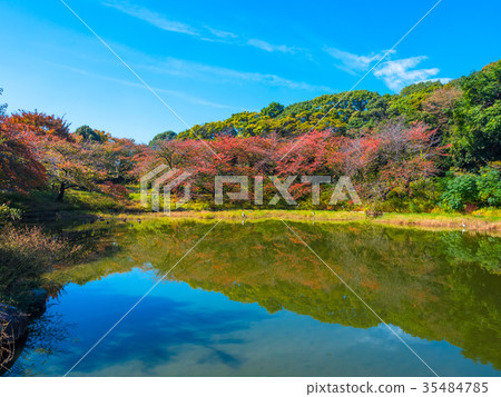 在Hanahiro紀念公園的秋天 35484785