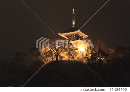 [Yokohama · Sankeien Garden] Cherry blossoms at evening 35484790