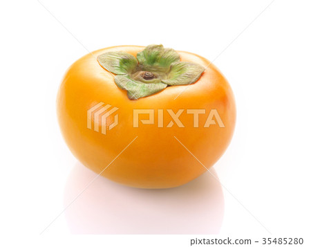 Hayao Fuyu(來自岐阜縣) Hayao Fuyu(來自岐阜縣) 35485280