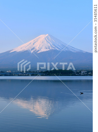 從川口湖778177的春天風景 35485611