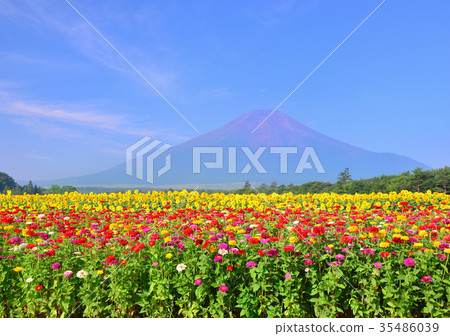 從花城市公園777762的夏天風景 35486039