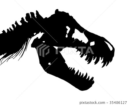 Skeleton of Tyrannosaurus rex ( T-rex ) 35486127