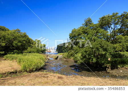 Countryside scenery (Kanagawa, Koami, summer) 35486853