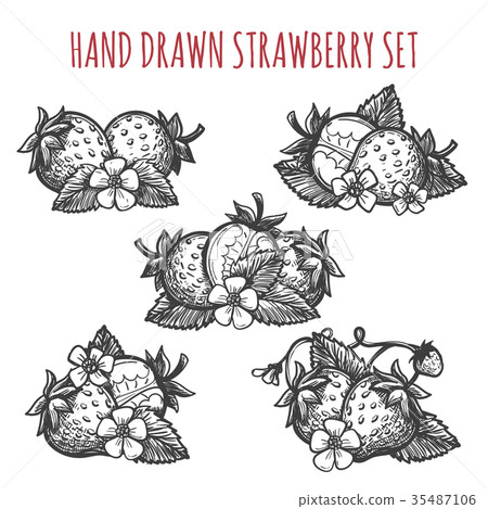 Strawberry sketch icons set Strawberry sketch icons set 35487106