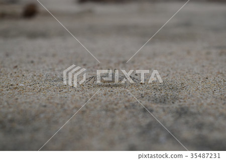 Susanni Susanni 35487231