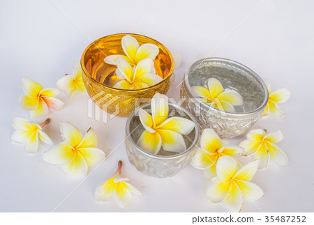 Dok champa flowers and Thai Silver Bowl  isolate 35487252