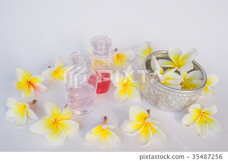 Dok champa flowers,Thai Silver Bowl  35487256