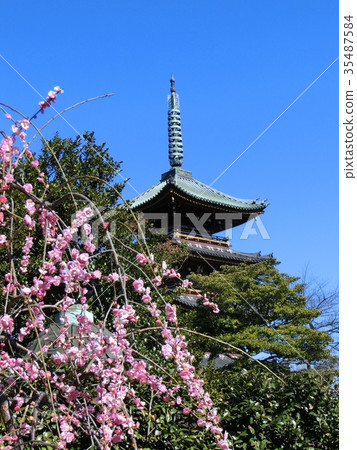 The Five-storied Pagoda of Ueda and Ueno Toshogu 35487584