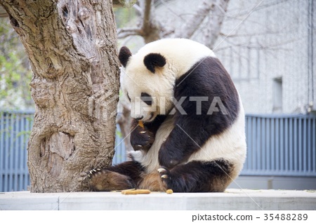動物園 王子