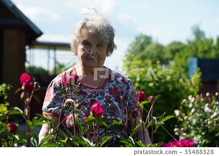 Portrait of old smiling woman in the park 35488328