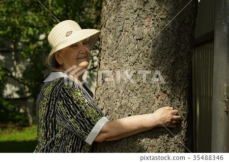 Elderly hugging tree trunk her hands in the forest 35488346