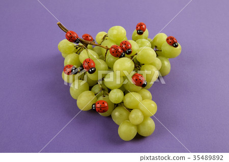 Invasion of ladybugs on a bunch of grapes Invasion of ladybugs on a bunch of grapes 35489892