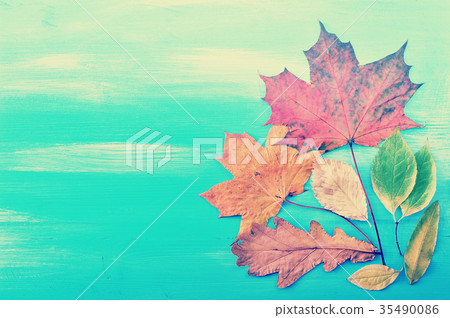 Autumn colorful leaves on blue wooden background 35490086