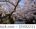 Sakura and Urban Liner 35492211