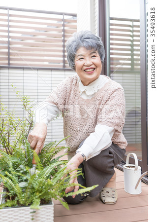 Senior gardening 35493618