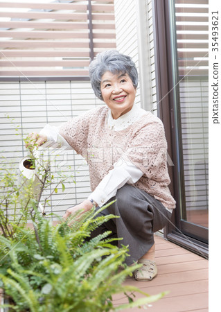 Senior gardening 35493621