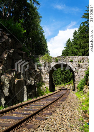 Romantic stone bridge over railway in forest Romantic stone bridge over railway in forest 35493654