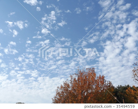 藍天和白色雲彩在秋天Yatsu潮汐公園 35494559
