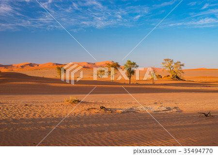 Sossusvlei Namibia 35494770