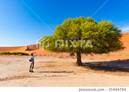 Tourist taking photo at Sossusvlei, Namibia 35494784