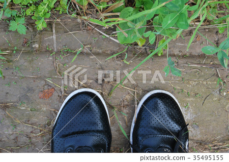 Black women's shoes, wet from the rain Black women's shoes, wet from the rain 35495155