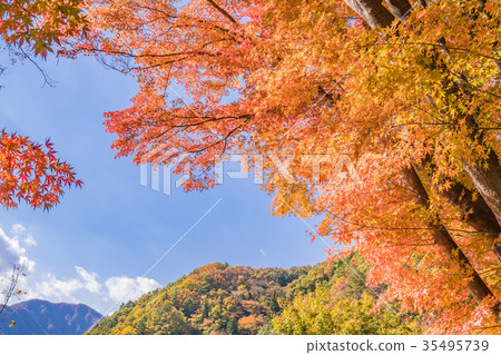 秋天在日本富士五湖，川口湖的風景 35495739